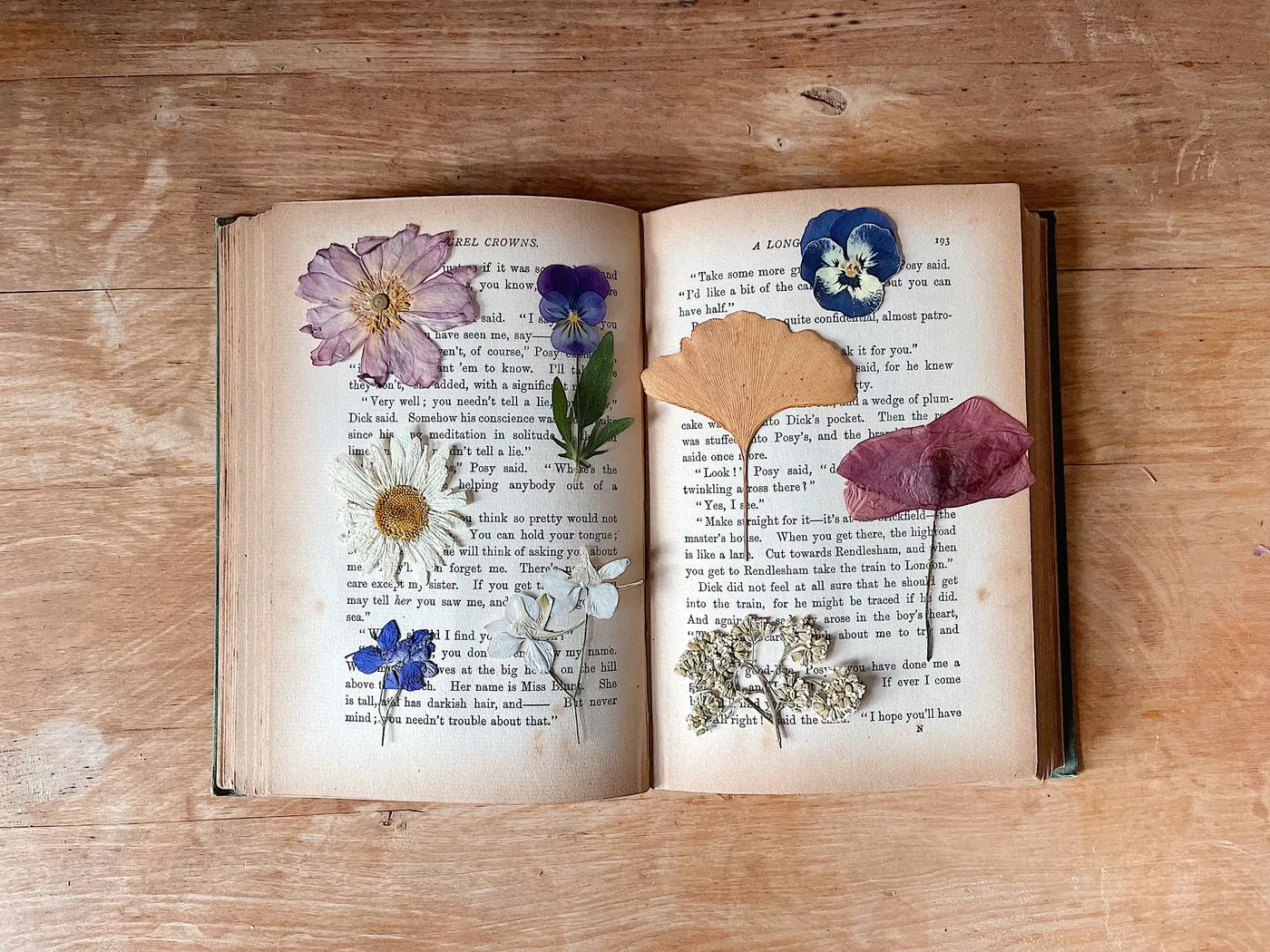 A pressed book and blotter strips in warm window light — the slow patience of composition