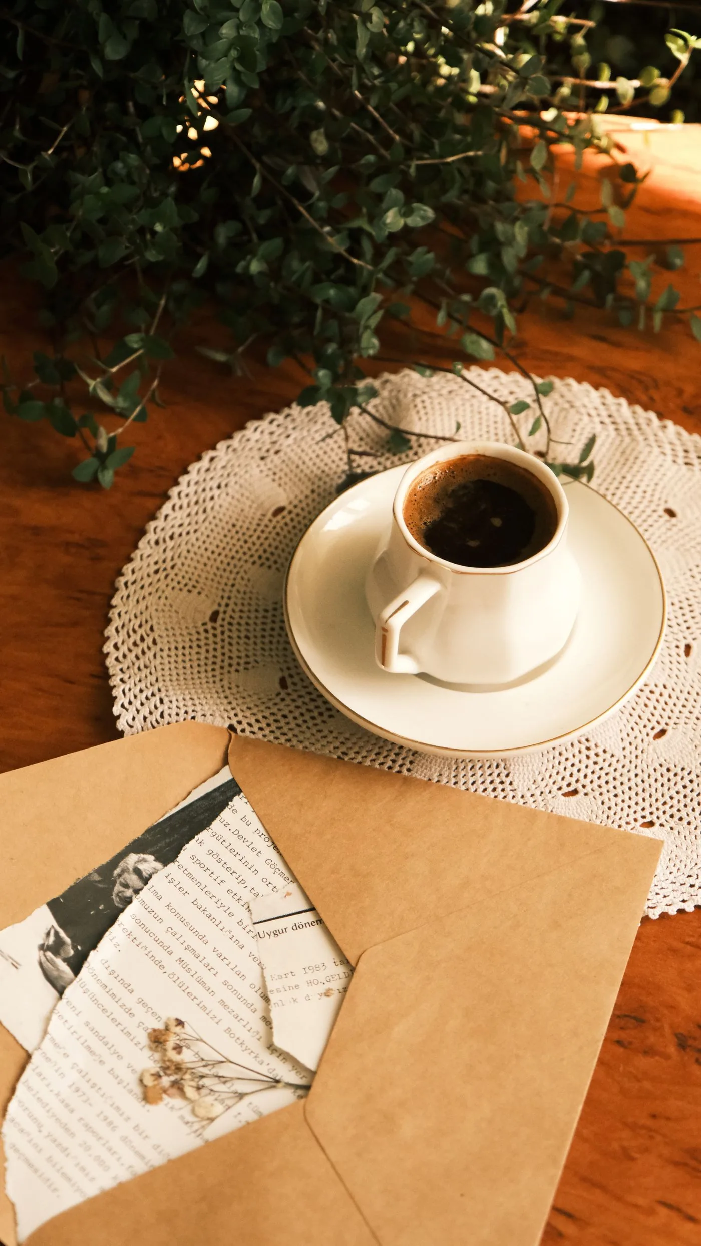 Kraft-paper letters and botanicals arranged on a warm surface — provenance and place